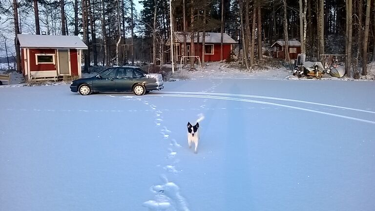 WP 20160109 10 59 19 Smart.jpg