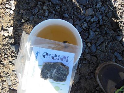 DSCN5834 Sameus 4.JPG