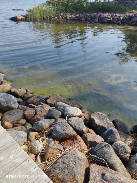 Flatöfjärden-Ryssö sund, Tröttviken-ObsIMG-202507140929-6874ba6aed5cf.png