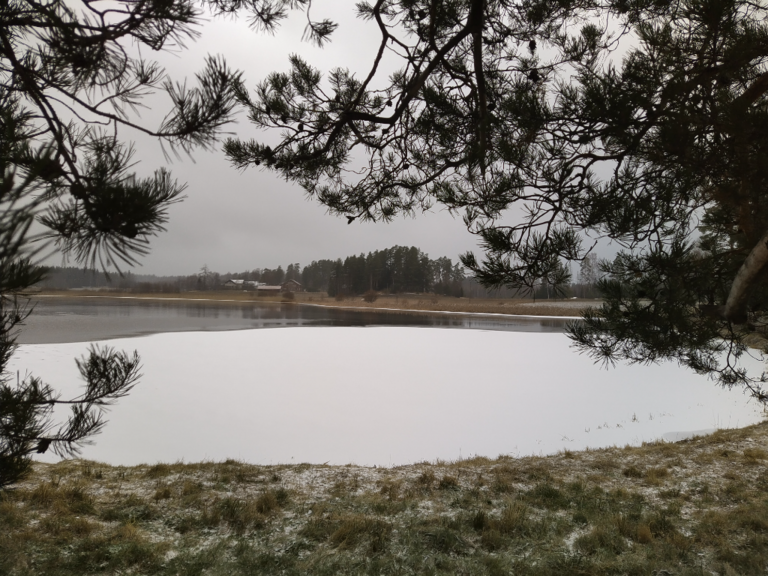 Hulkkianjärvi (11.006.1.014)-Havainnot-ObsIMG-202211201645-637a4402db718.png