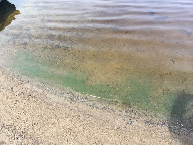 Iso-Kiimasen alue (59.823)-Talvilahti-ObsIMG-201907211732-70.jpeg