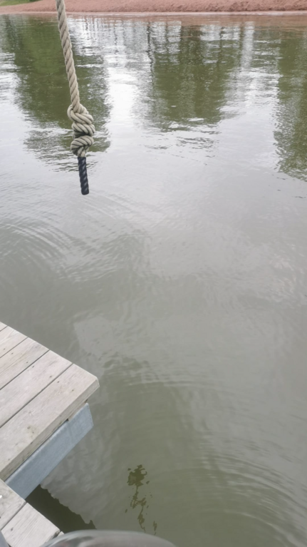 Pyhäjärvi (34.031.1.001)-Valtakunnallinen sinileväseuranta (Katismaan uimaranta)-ObsALG-202506241024-1750749883910.png