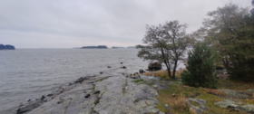 Sipoon saaristo-Nuottaniemi-ObsIMG-202110071743-615f07d078567.png
