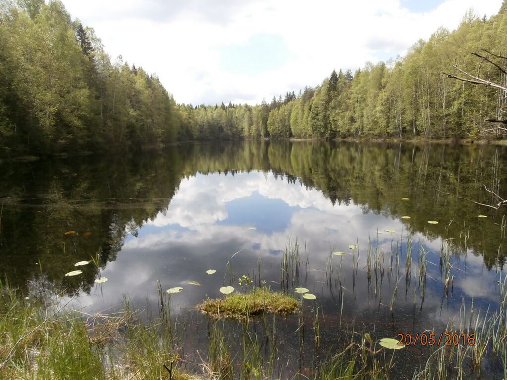 Suolampi pohjoispaa.JPG