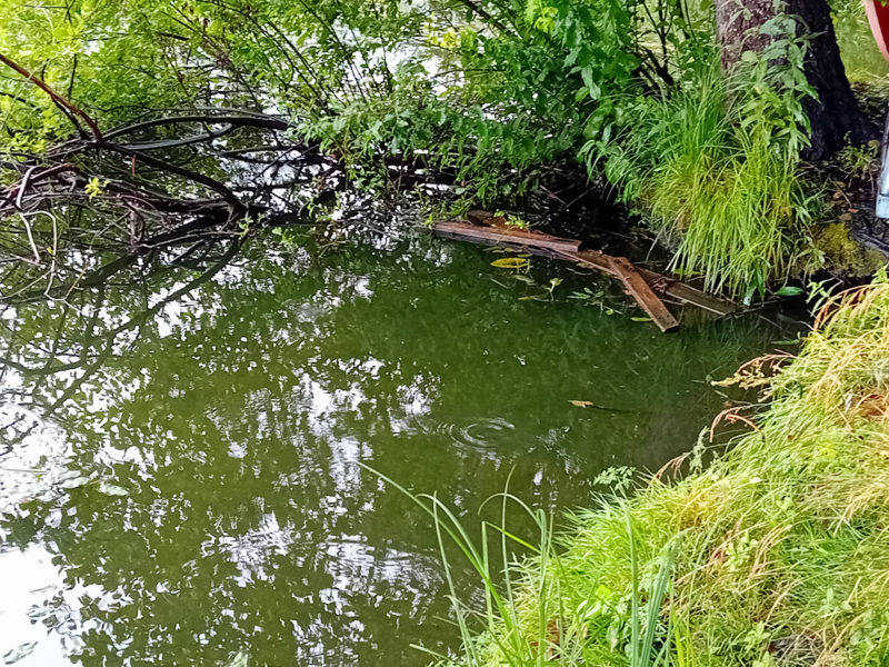 Tiedosto:Enäjärvi (22.005.1.001)-Enäranta-ObsALG-202408041524-66af734f7577a.png