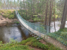 Piikstammin riippusilta.