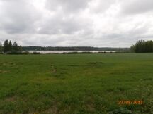 Yksityisalueiden ja soistuneiden rantojen vuoksi lähelle rantaviivaa pääsy mahdoton, mutta näkyyhän tuo Valkjärventielle etäältä. (KI 27.5.2013)