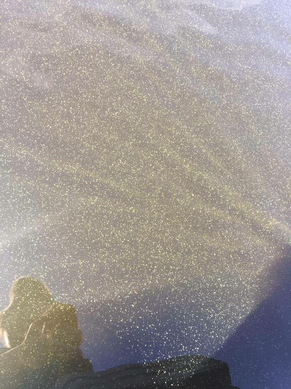 Puula (14.923.1.001)-Otavan Uimaranta-ObsIMG-201906251423-27.jpg