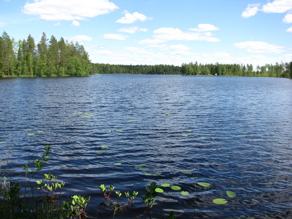Särkijärvi3196.JPG