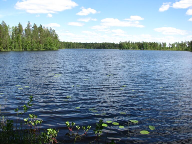 Särkijärvi3196.JPG