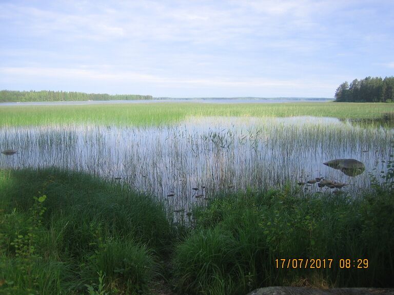 Saanijarvi Pitkapohja.JPG