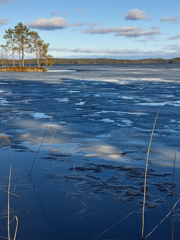 Suurijärvi (04.792.1.002)-Pieni Sarviniemi-ObsIMG-202405020920-6633312b6fb0d.png