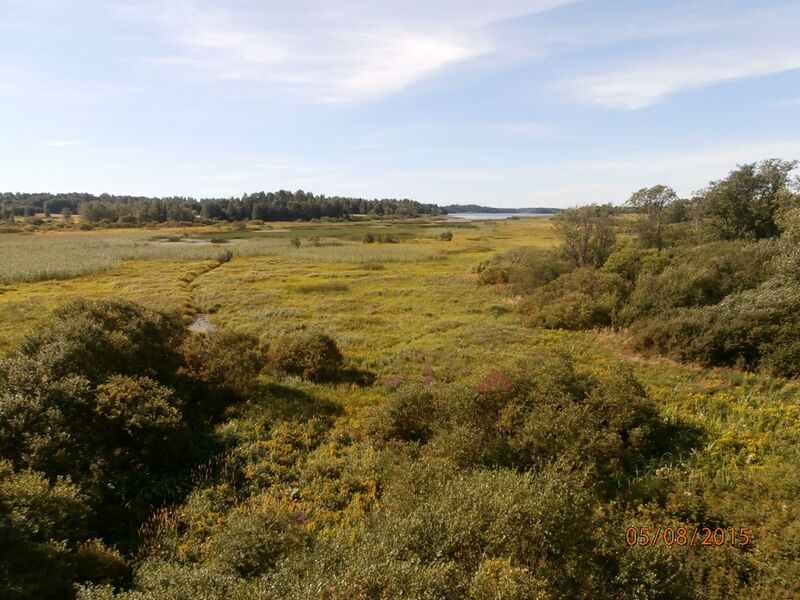 Tiedosto:Hameenkylan lintutornista.JPG