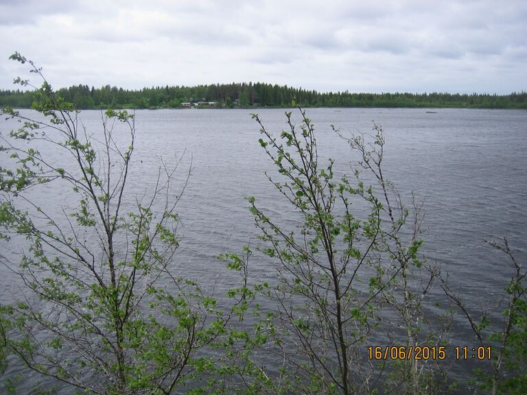 Likalanjarven lintutornista.JPG