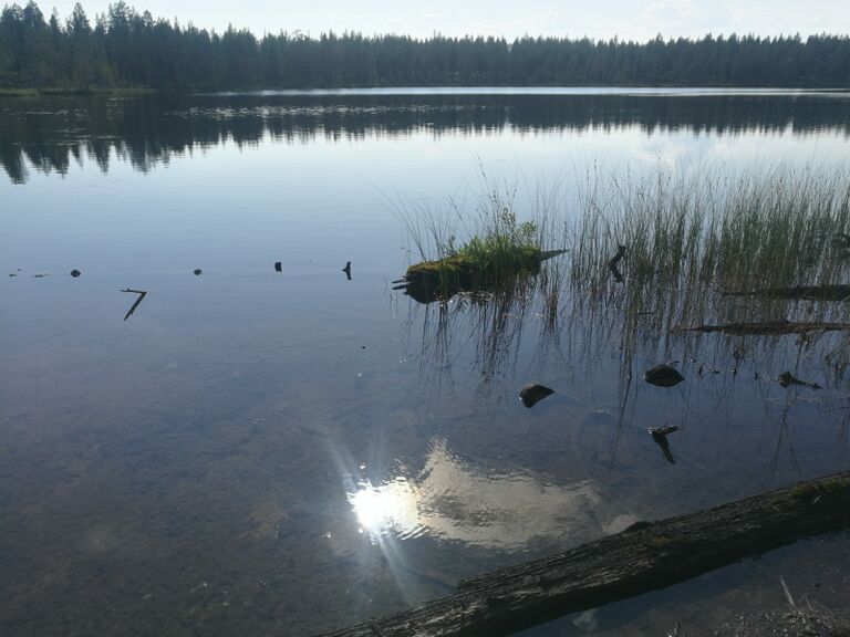 Vaaralampi (e) (74.022.1.006)-Vaaralampi-ObsIMG-201907241700-5.jpg