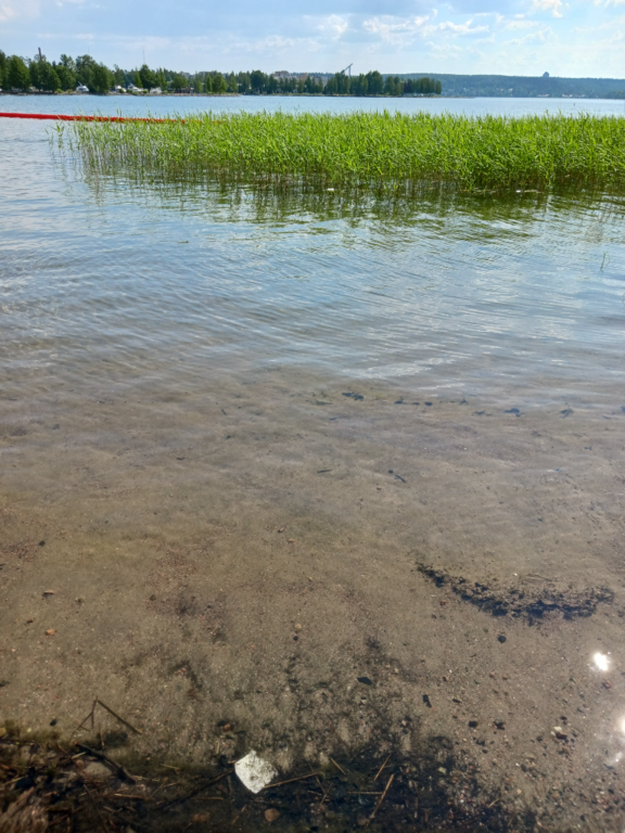 Vesijärvi (14.241.1.001)-Valtakunnallinen sinileväseuranta (Mukkula)-ObsIMG-202306201537-64919e1027c79.png