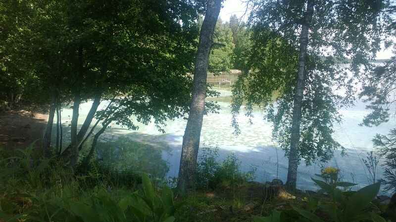 Tiedosto:WP 20130624 008.jpg