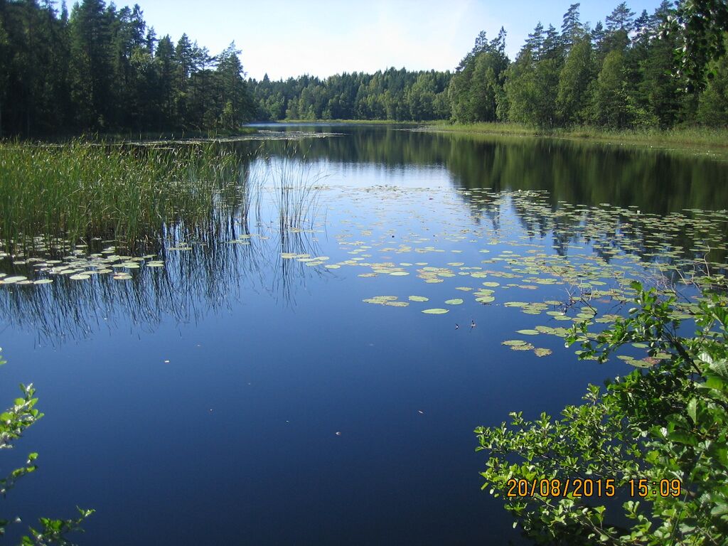 Lilltrasket Grabbskog.JPG