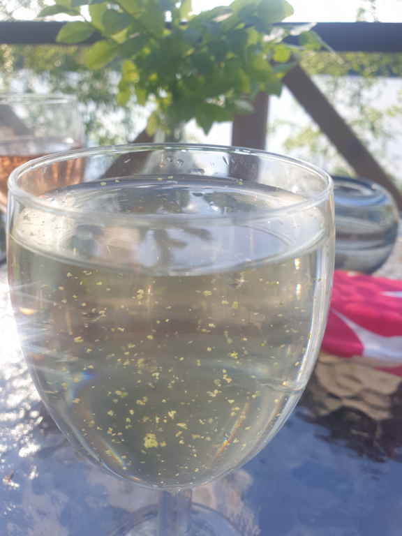 Valkjärvi (24.033.1.010)-Havaintopaikka 1-ObsIMG-202106110018-60c281fe6e86d.png