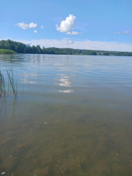 Tiedosto:Villikkalanjärvi (16.003.1.003)-Valtakunnallinen sinileväseuranta-ObsIMG-202307251013-64bf761cad191.png