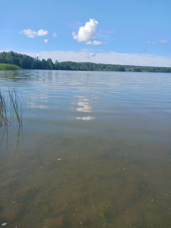 Villikkalanjärvi (16.003.1.003)-Valtakunnallinen sinileväseuranta-ObsIMG-202307251013-64bf761cad191.png