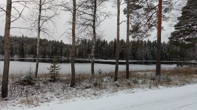 Tiedosto:Havainto-Maakeskisen pohjukka-ObsICE-202411191447-673cbb2d4f667.png