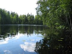 Iso-Haiskari 12.8.2004