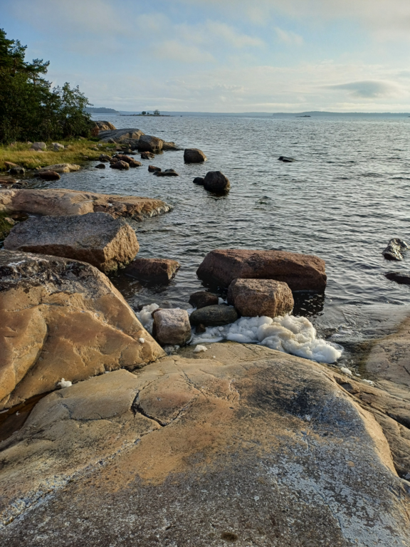 Keipsalo-Rotarien sinileväseuranta (Stora Småholmen)-ObsALG-202408050658-66b04ebe58f49.png