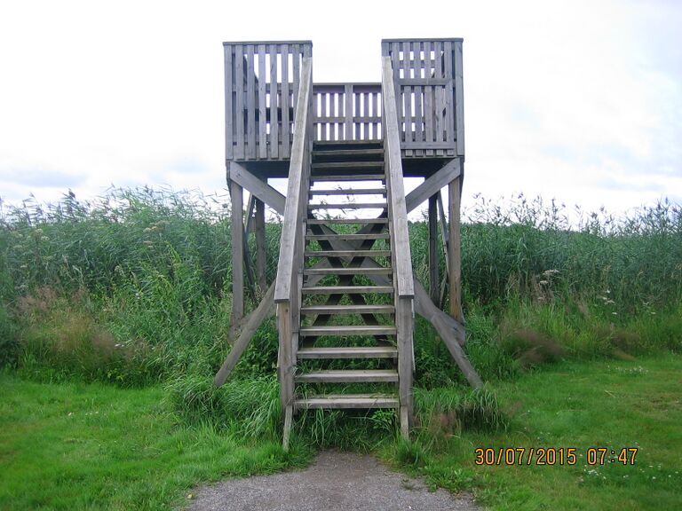 Koddervikenin lintutorni.JPG