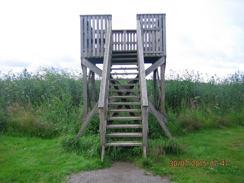 Tiedosto:Koddervikenin lintutorni.JPG