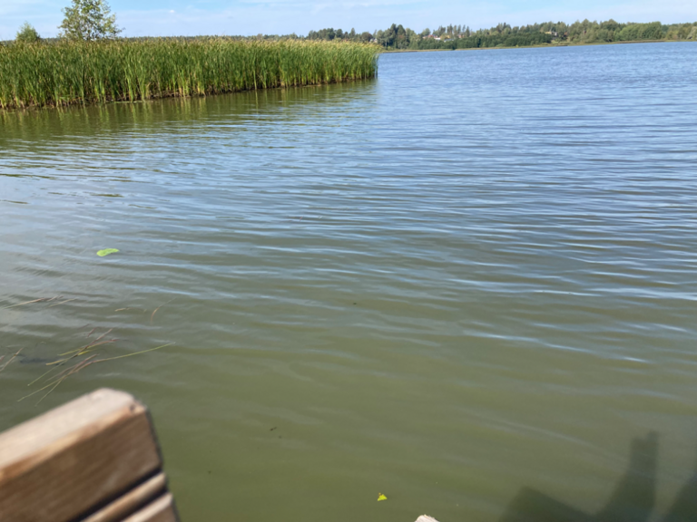 Tuusulanjärvi (21.082.1.001)-Rotarien sinileväseuranta (Kotuntien laituri)-ObsIMG-202408281054-66ced85897d8d.png