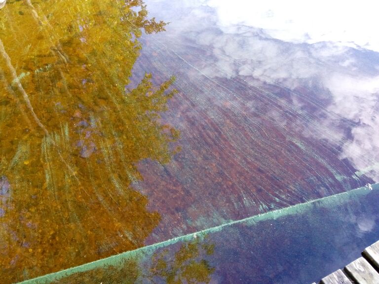 Kallavesi (yhd.)-Metsämaja-ObsIMG-201907020720-94.jpg