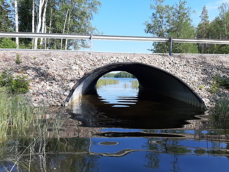 Suomijärvi (04.141.1.045)-Rotarien sinileväseuranta (Ahdassalmi)-ObsALG-202006232126-12.jpg