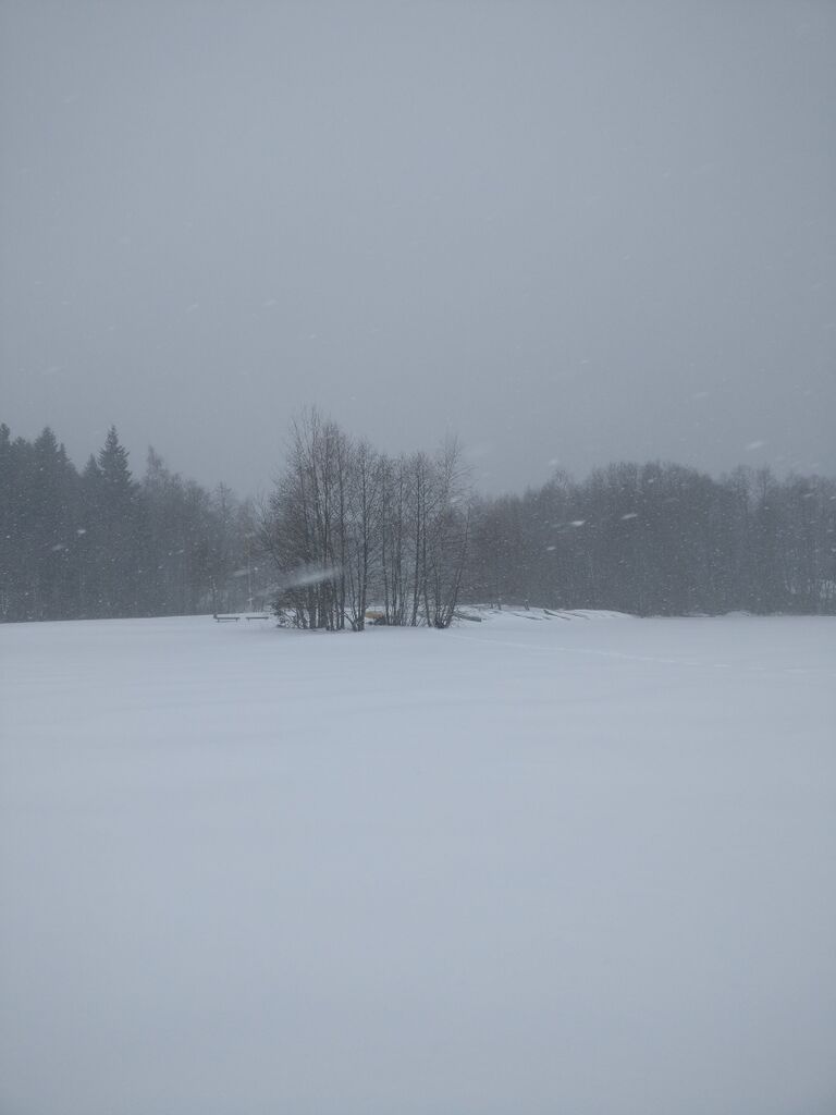 Vesijärvi (14.241.1.001)-Kankolan uimaranta-ObsIMG-201804021710-6.jpg