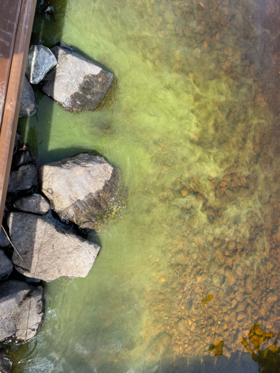 Änättijärvi (59.931.1.001)-Havaintopaikka 1-ObsALG-202307121227-64ae72993ec76.png