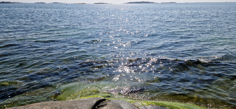 Hankoniemi-Eteläisin kärki-ObsIMG-202409071402-66dc356f5b681.png