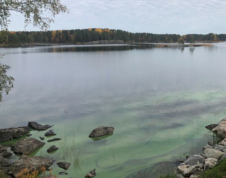 Kallavesi (yhd.)-Pirttiniemi-ObsIMG-202010011436-64.jpg