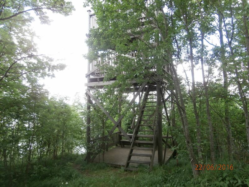 Tiedosto:Kanteleenjarven lintutorni.JPG