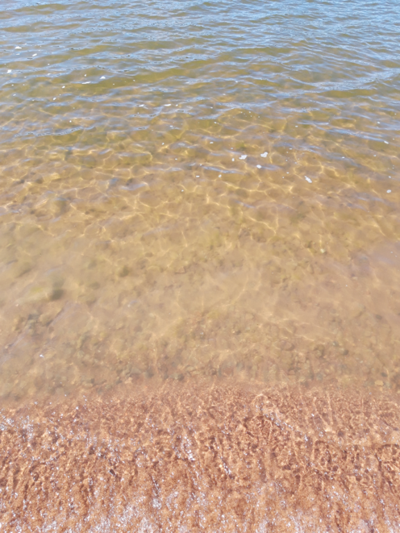 Pyhäjärvi (34.031.1.001)-Valtakunnallinen sinileväseuranta (Katismaan uimaranta)-ObsALG-202208021448-62e90f40166f1.png