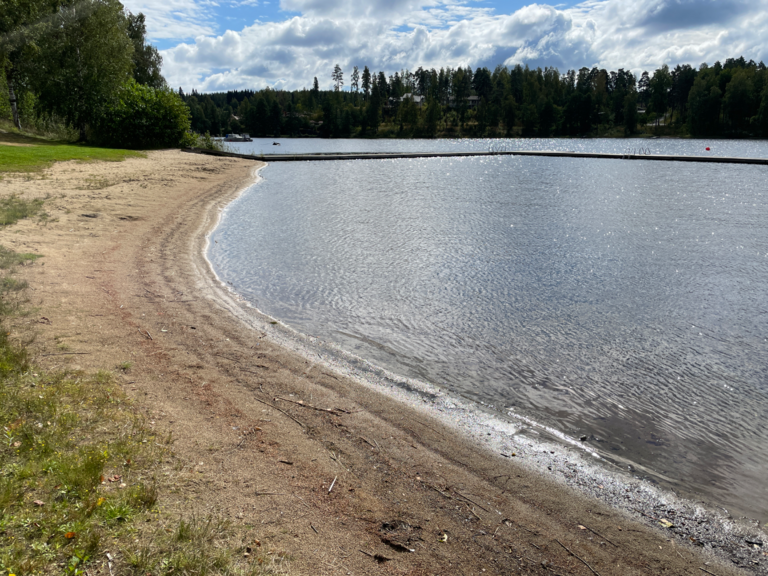 Rautavesi (14.831.1.001)-Valtakunnallinen sinileväseuranta (Angesselkä, Joutsan uimaranta)-ObsIMG-202508261352-1756205624740.png