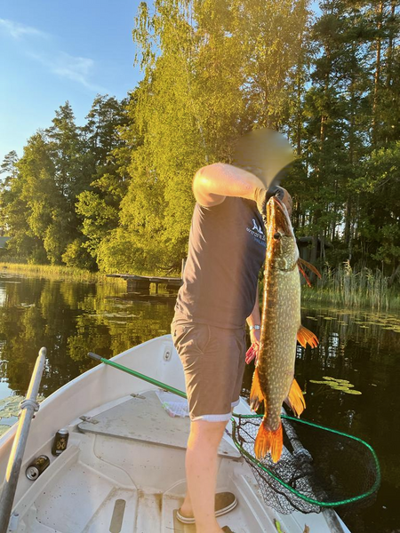 Tiedosto:2022 hauki 6kg.png