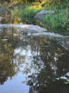 Jalanti (35.281.1.002)/Kapeikko