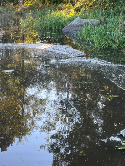 Jalanti (35.281.1.002)-Kapeikko-ObsALG-202509301140-68db9832aed71.png