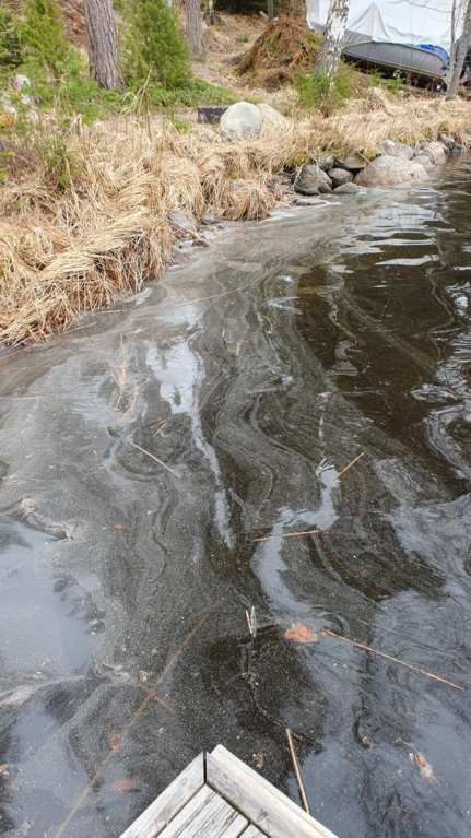 Päijänne (yhd.)-Kopsuonlahti, Koveronranta-ObsIMG-202504181218-6802197bcb2a8.png