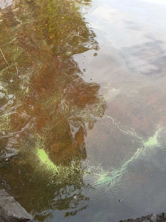 Iso-Pyhäntä (59.482.1.001)-Kyrönniemi-ObsALG-202207131941-62cef6b1f3502.png