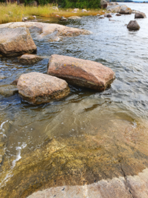 Keipsalo-Rotarien sinileväseuranta (Stora Småholmen)-ObsIMG-202108230748-61232931ccbf4.png