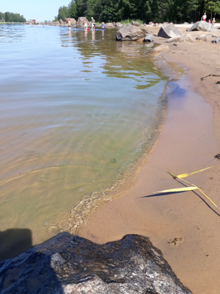 Tiedosto:Kokkolan edusta-Valkohieta-ObsIMG-202107051100-60e30defb62b2.png