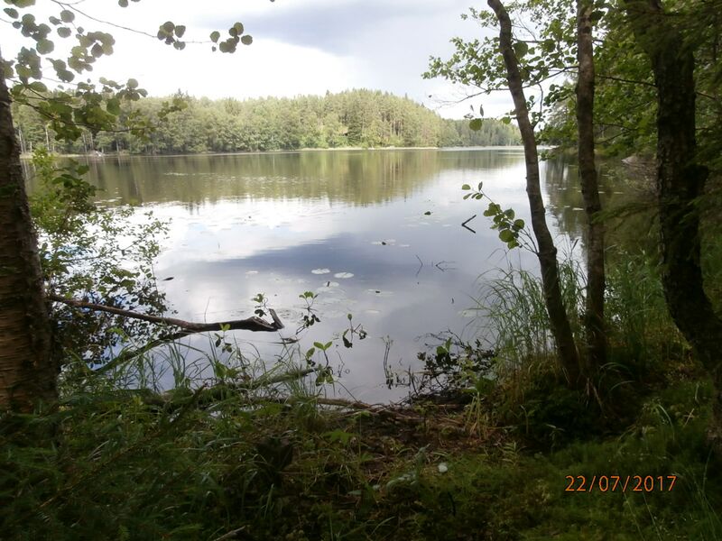 Tiedosto:Paaskyslahti 1.JPG