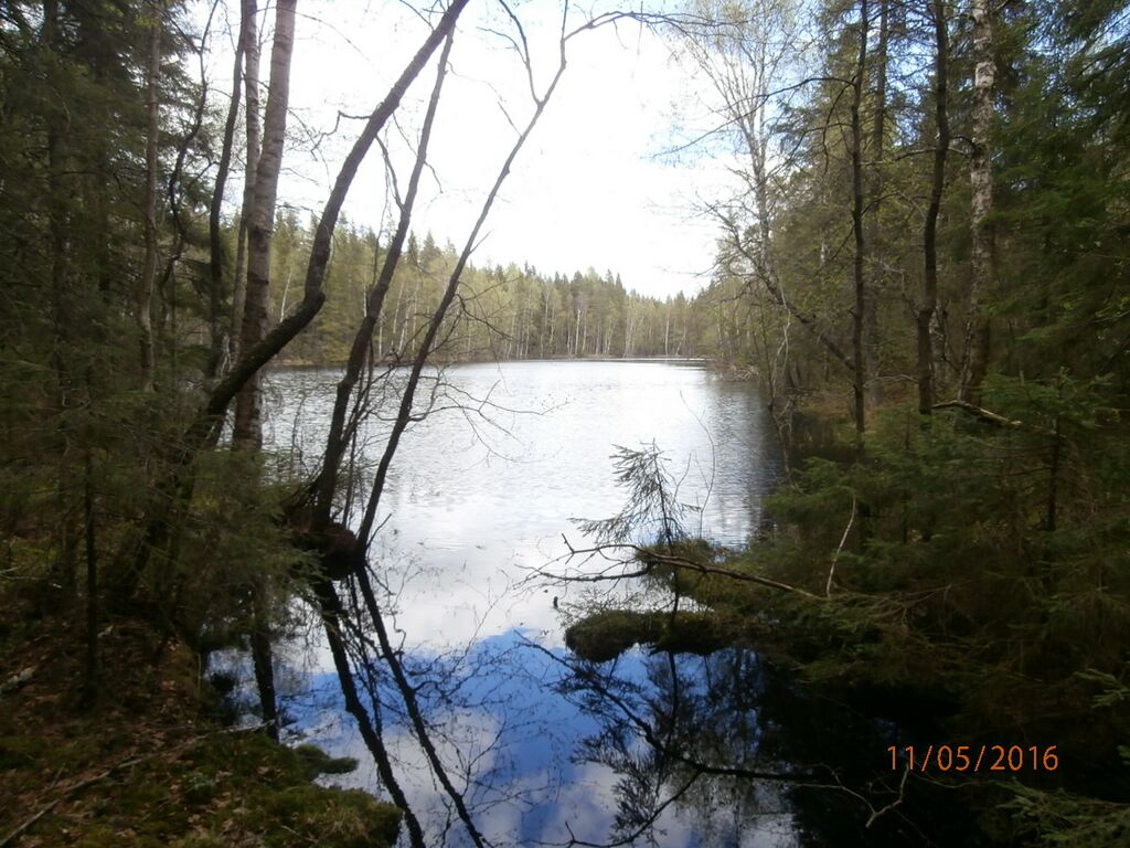 Puolivalinlampi lounaiskarki.JPG