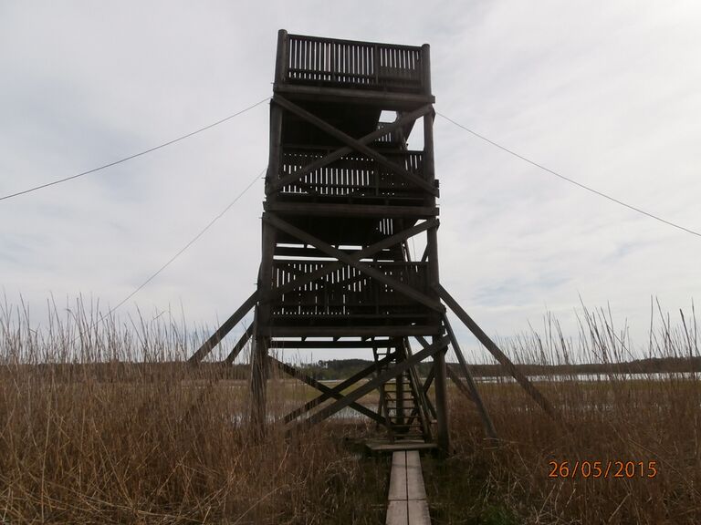 Sikosaaren lintutorni.JPG